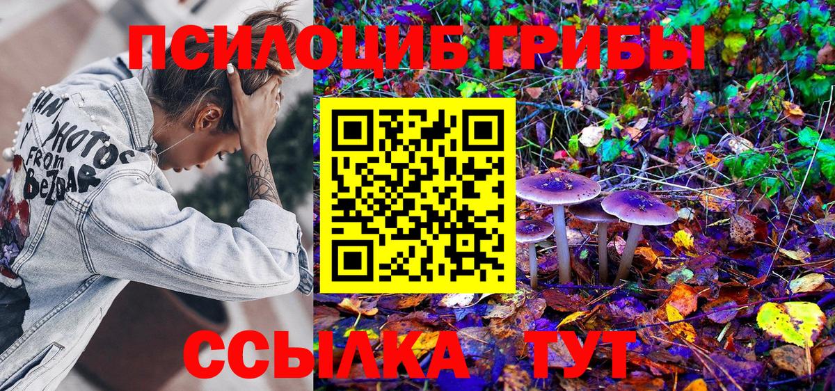Псилоцибиновые грибы прущие грибы Красный Сулин