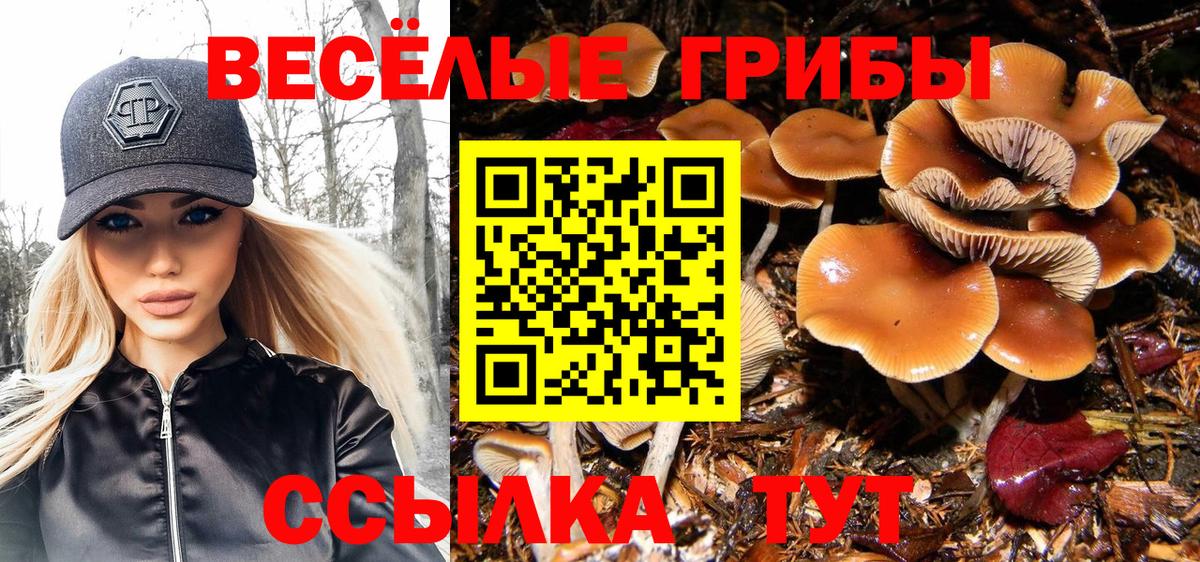Красный Сулин  Галлюциногенные грибы ЛСД  Вход с VPN 